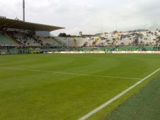 Стадион Артемио Франки (Stadio Artemio Franchi) Фото 3